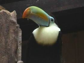 Mich triffst Du im Vogelhaus